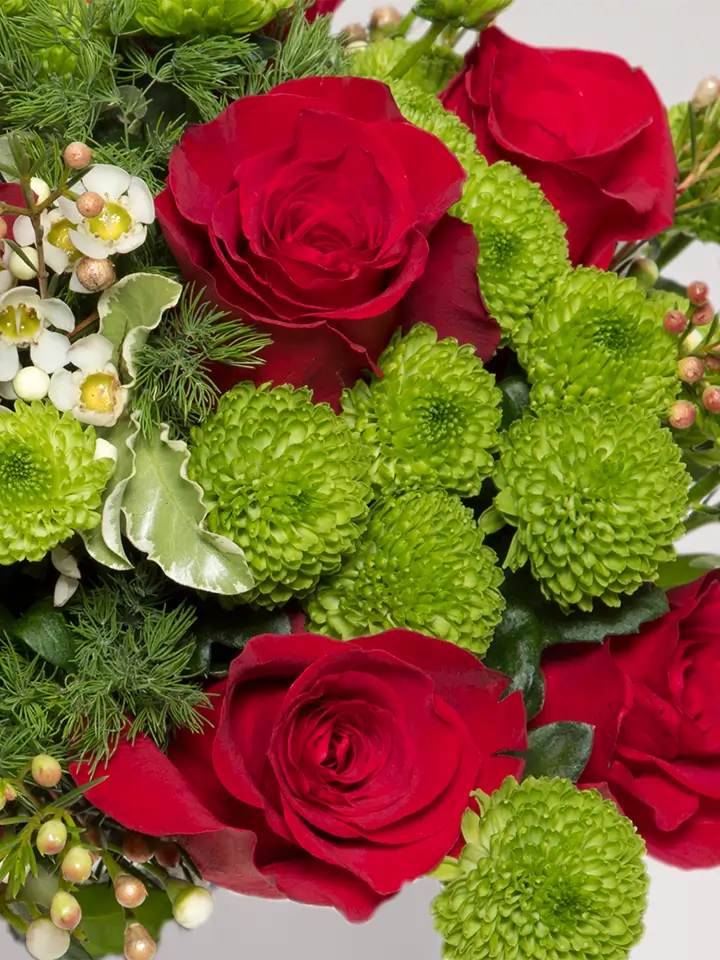 Bouquet roselline rosse santini verdi macro